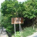 새마을수도사 Daum카페
