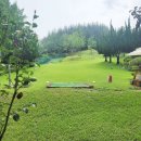 그린샷스크린골프연습장 이미지