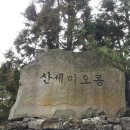 유수암리 산새미오름방묘 Daum카페