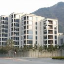 화이트벨 이미지