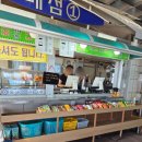 삼척 해양레일바이크 후기 아이와 용화해변 레일바이크 타본 솔직 후기 (운영시간, 요금 총정리)