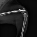 페트로동물의료원 이미지