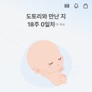 텐퍼센트통영북신점 - 45242 | EP.09 열일하고 보람찬. 18주차 임신일기