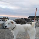 별똥별펜션 이미지