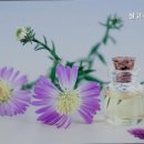 살고싶은집 삼마요양원 이미지