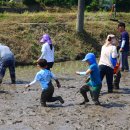 부여서울 이미지