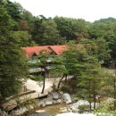 대관령자연휴양림 이미지