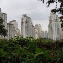 광교컨벤션공인중개사사무소 이미지