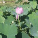 덕유산휴양수련원 이미지