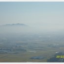 두동편백 이미지