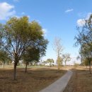 화원유원지 축구장 이미지