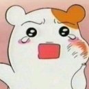 연세차치과의원 이미지