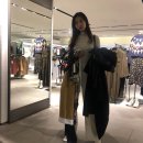 APEC로 이미지