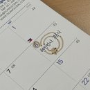 세윤푸드 | [냥대일기 #13] 3학년 2학기 돌아보기