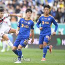 울산대파 이미지