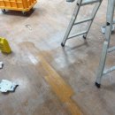 마루약국 이미지