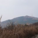 알파광주 이미지