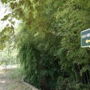 성도리석불입상 이미지