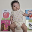 빵떡쿵 이미지
