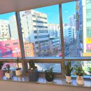 송가호계타워 이미지