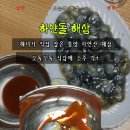 통영특산물 자연산 해삼 솔직후기｜해녀가 잡은 활 해삼