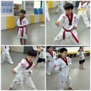국가대표영웅태권도 이미지