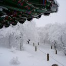 겨울궁전ㅡ아름다운 태백산의 설경 이미지..!! 이미지