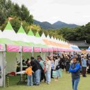 함양산삼사랑 이미지