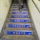 타로(강좌번호 : 13 ) | 부산 사주 잘보는곳 부산대 타로보는남자 내돈내산 가격 후기