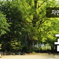 화양동관광농원 이미지