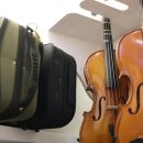 바이올린 심화과정 이미지