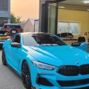 에스(S)게러지 이미지