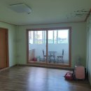 몽산포파인 이미지