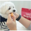 트러스틸 주식회사