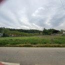 골드문공인중개사사무소 이미지