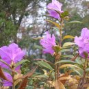 금이LPG충전소 이미지