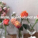 다즐(DAZZLE) 네이버블로그