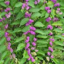 경기둘레길 양평30코스 이미지