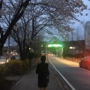 나이스카 서비스 | 비내리는 버스카버스카!