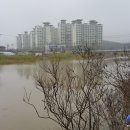 송전게이트볼장 이미지