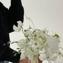라피네하우스 이미지