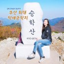 한샘약수터 | [부산등산] 부산 최대 억새군락지 승학산, 정상까지 고고싱