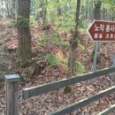 노작 홍사용 묘역 이미지