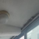 전하세탁 이미지