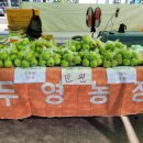 두영농장 이미지