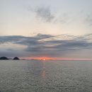 모이핀