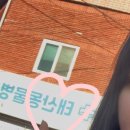 태산 우리동물병원 네이버블로그