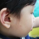 (주)에코미스트