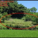 흥천2리신흥경로당 | ♡예천군 토지(전)경매/경북 예천군경매&gt;경북 예천군 풍양면 흥천리 325 경매 정보/ 2019타경2300