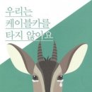 청원카 이미지
